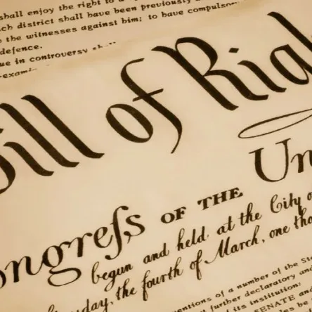The Constitution and the Bill of Rights: Safeguarding Freedom and Democracy in the USA